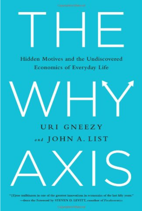 Cover of The Why Axis, thin white lettering on a light teal background